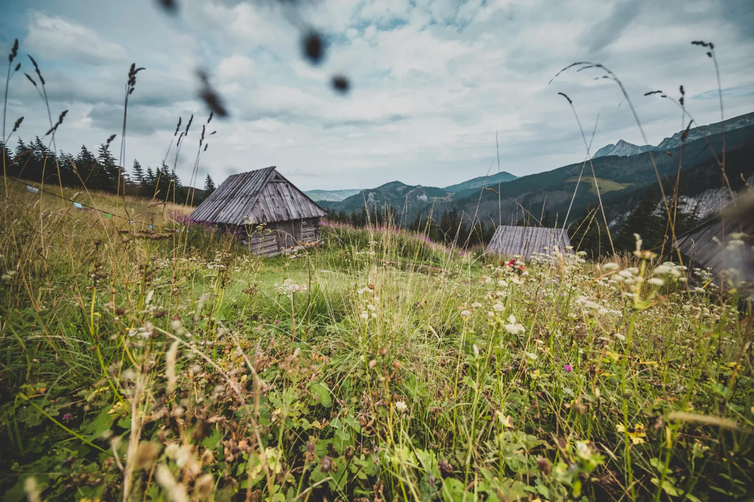 fotograf zakopane tatry zdjęcia (12)