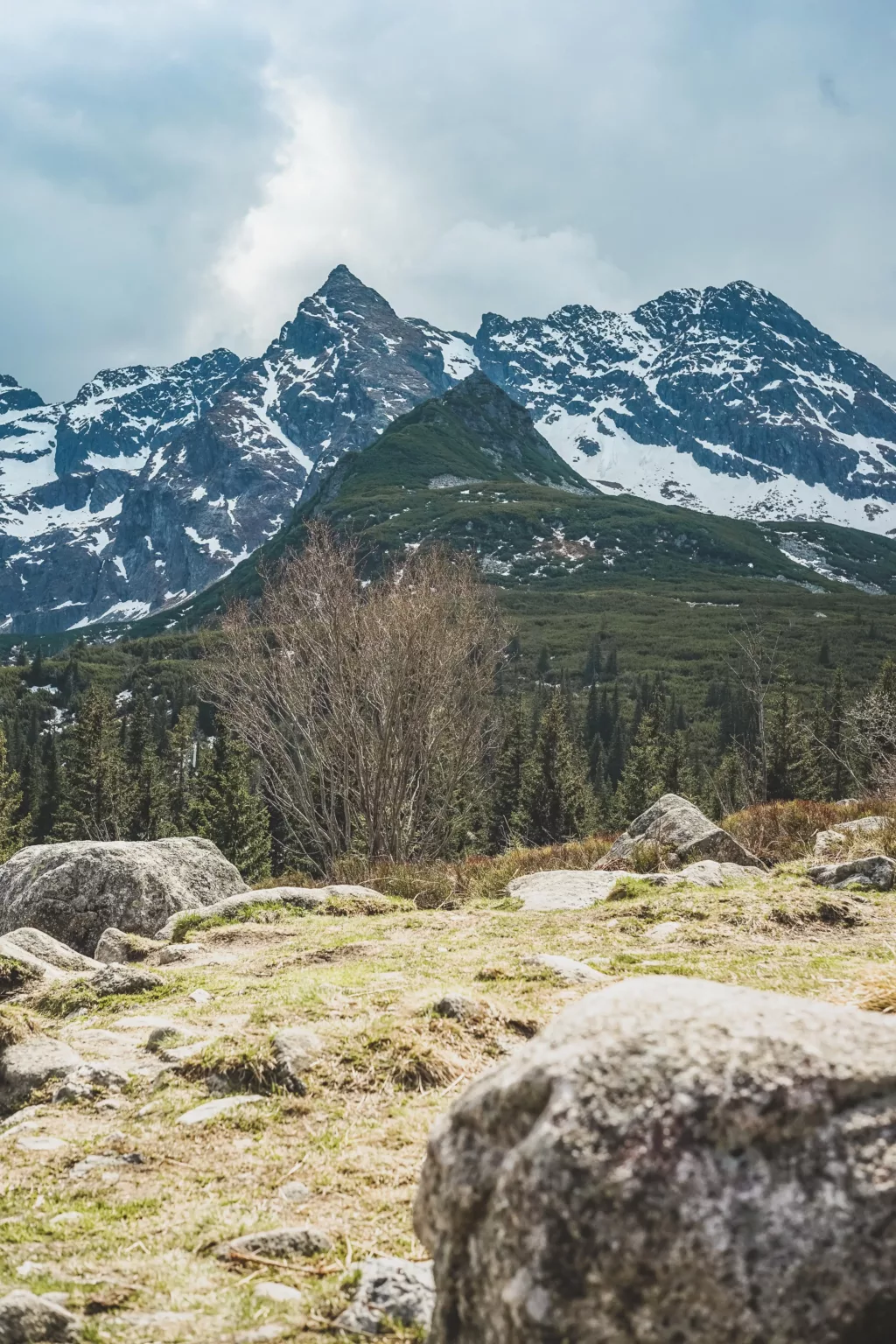 fotograf zakopane tatry zdjęcia (17)