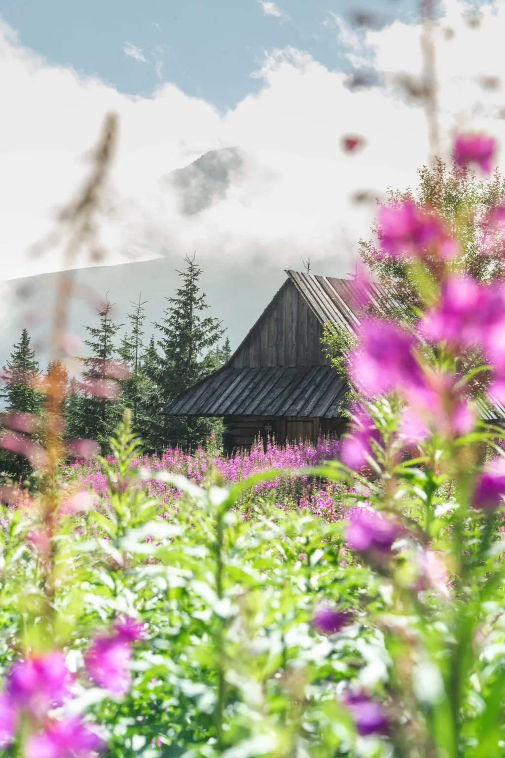 fotograf zakopane tatry zdjęcia (8)