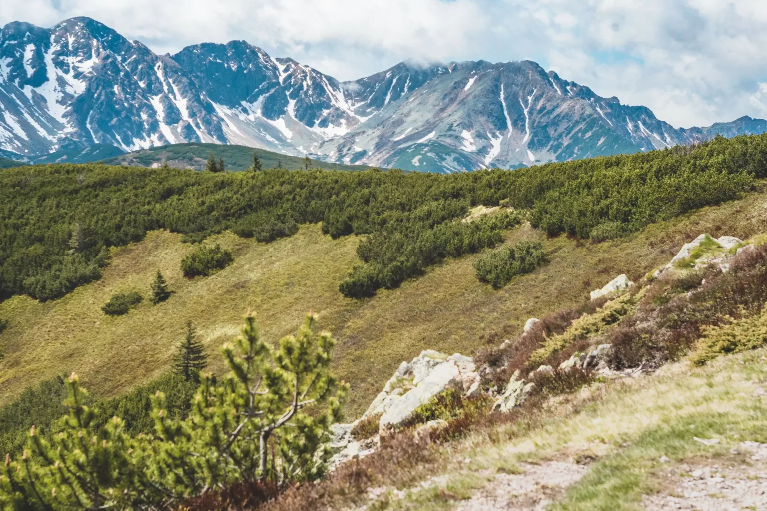 fotograf zakopane tatry zdjęcia (9)
